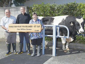 From left: Ray Hocking, LIC livestock selection manager Simon Worth and Sandra Hocking with the San Ray FM Beamer - ET S2F.