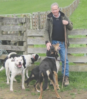 Lobby group urges return to co-ops