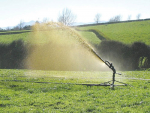 Irrigating effluent to a large area helps nitrate leaching.