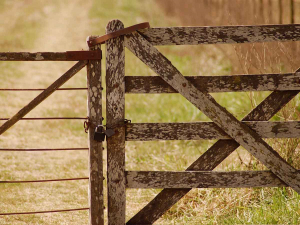 REINZ says a drop in farm sales last month was largely due to higher interest rates, government uncertainty and rising farm input costs.