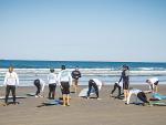 Last summer, the Surfing for Farmers programme saw a total of 2864 farmer surfs across 16 regions around NZ.