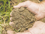 Soil is one of the most valuable assets that a farmer has.