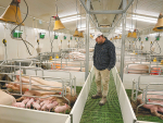 The main proposals in the Government&#039;s new draft code, which has farmers up in arms, surround new rules around farrowing crates.