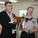 Puppies ready for biosecurity training