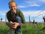 Functional Complementarity: Down the pathway of regenerative viticulture
