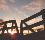 NZ farming is truly a super power