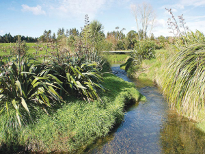 Fencing waterways offers lots of benefits