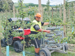 Iwi eyes hort for progress