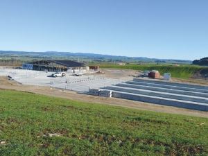 Milk shed and feed pad nearing completion.