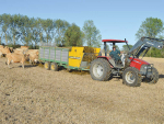 A good spring means many Waikato farmers still have silage to feed for the next few weeks.