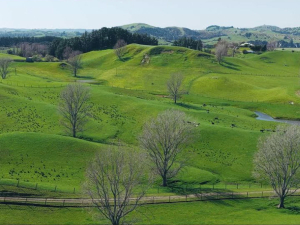 Farmlands celebrates 63-year legacy in Hawke’s Bay