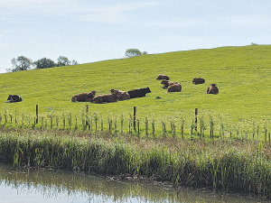 Federated Farmers continues to analyse and submit on the vast array of other regulatory changes proposed in the water management area.