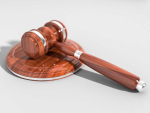 Following prosecution by the Ministry for Primary Industries (MPI) at Te Awamutu District Court last week, JKD Farms Limited was sentenced on one charge under the Animal Welfare Act.