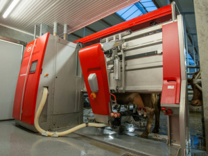 Lely launched its Astronaut A5 robot last month.