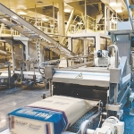 With whole milk powder prices down, processors are increasing SMP output