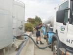 Fonterra maintains milk volume forecast