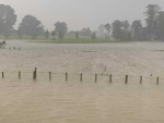 A flooded paddock in Elsthorpe, Central Hawke&#039;s Bay. Photo Credit: Bryan Lorenz.
