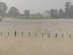 A flooded paddock in Elsthorpe, Central Hawke's Bay. Photo Credit: Bryan Lorenz.