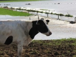 Staring down the floods