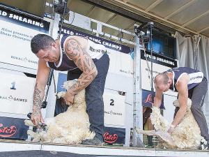 The sheep shearing competition will be a crowd favourite.