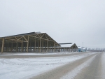 Russian revolution in the dairy shed