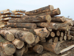 Upgraded China FTA could boost timber