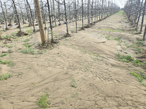 Tasman farmers and orchardists struggling with flood recovery and mental health pressures