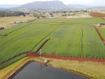 MG Farms Tasmania produces fresh potatoes year-round for the Coles chain of supermarkets in Australia.