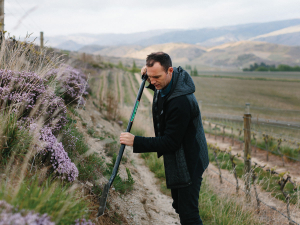 Akarua Viticulturist Kurt Robinson