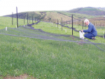 Scientist Colin Ferguson conducting field trials.