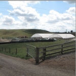 Crunch the numbers before housing cows