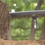 Smart Irrigation 