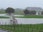 Insurers say they are actively supporting customers impacted by the heavy rain in Nelson, Tasman and Marlborough. Photo Credit: Cherie Chubb.