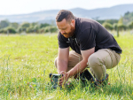 Climate Change Is Reshaping New Zealand Pasture Growth, Study Finds