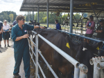 Vet Danielle Hawkins explains how to body score cows.