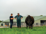 Transition Period: The Make-or-Break Window for Dairy Cows