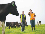 Josh Dondertman is supporting Matthew Fox with on-farm employment and learning.