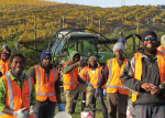 Donald Nalpin (far right) and other Ni-Vanuatu workers.