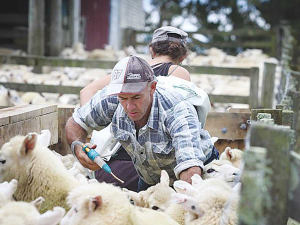 Drenching should be just one small part of a parasite management plan.