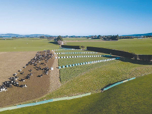 Southland&#039;s winter grazing saga is set to continue.