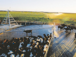 The global dairy picture is looking better for the next nine months as milk production slows in Europe and NZ.