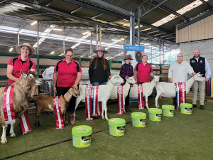 Canterbury A&amp;P Show Ditches Saturday Schedule, Returns to Farmer-Friendly Dates