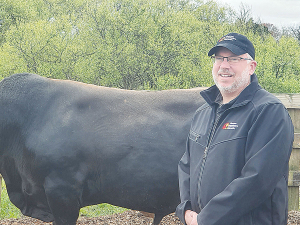 Tropical Dairy Group chair Tim Heeley says New Zealanders have a great opportunity to invest in a world-first genetic solution.