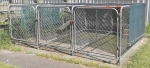 Kennel craft – cools spots and bad habits