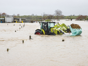 The impact of the flooding in the Buller region can be seen on Joan Hamilton&#039;s farm, on State Highway 67A, heading out to Carters Beach, near Westport. Photo: Jules Anderson Photography.