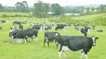 FE outbreak triggers warning