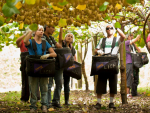 The 2020 kiwifruit harvest has begun.