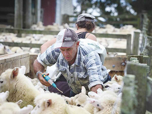 Farmers stepped up in 2020 amidst lockdowns.