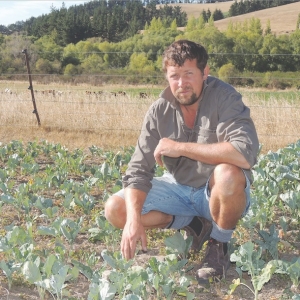 Ryan O’Sullivan’s winter crops are struggling.