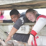 Matthew Mikaere and Stacey Cowdell check out some calves.